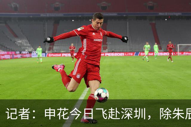 记者：申花今日飞赴深圳，除朱辰杰盖伊等伤员外几乎全员出征